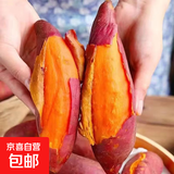 板栗蜜薯红薯烤地瓜现挖番薯 农家自种新鲜生鲜蔬菜优质粗粮整箱 精品装带箱5斤装 单果1两+ 源头直采包邮
