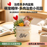 盛世泰堡学生笔筒桌面摆件生日礼物花盆桌面收纳置物笔盒办公室创意摆件