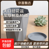 花盆绿植盆栽家用客厅塑料花盆天堂鸟发财树大口径加厚树脂 钻石270-灰【27*34.5】送托盘 一套装