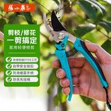 张小泉整枝剪果树修剪刀园艺剪刀强力剪刀树枝工具剪修枝剪