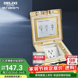 德力西(DELIXI)开关插座 金色五孔铜地插 翻盖式防水地板地插（含暗盒）