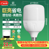 佛山照明大功率LED灯泡30W节能灯具E27螺口6500K白光柱形