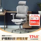 Ergonor保友金豪b雄鹰 人体工学椅 电脑椅 电竞椅办公椅子可躺老板椅 【金豪b雄鹰X】银白网