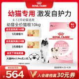 皇家幼猫猫粮 幼猫奶糕 K36 通用粮 4-12月 10KG