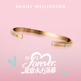 丹尼尔惠灵顿（DanielWellington）dw手镯女[送女朋友礼物]专属限定镌刻版星辰开口手镯情侣款