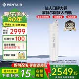 滨特尔（pentair）大白瓶前置过滤器 全屋家用自来水过滤器 前置净水器大蓝瓶 中央净水机大流量大胖瓶高精度 【20寸大白瓶】包安装