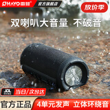 雷登（OHAYO）X10音响蓝牙音箱 高音质户外大功率低音炮家用小型随身有源防水迷你便携式2026最新款骑行音响 X10黑色10W【快至当/次日达】 标配+16G内存卡+读卡器