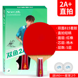 双鱼（DOUBLE FISH） 乒乓球拍初学者成品拍双面反胶皮套装快攻型学生业余训练乒乓拍 竖拍 2A+直拍（单）含2球