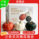 京地达山东三色贝贝南瓜净重4.5斤绿贝贝红贝贝奶油南瓜组合 源头直发