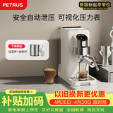 柏翠(petrus)咖啡机小白觉醒意式家用小型半自动蒸汽打奶泡PE3663
