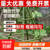 竹竿菜园搭架豆角黄瓜番茄爬藤架园艺篱笆围栏旗杆葡萄架批发 50根【精选竹竿】 3-4厘米粗4米长