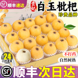 粤迎苏州东山白玉枇杷【JD顺丰多地次日达】现摘现发水果送礼高端琵琶 3斤独享装【单人独享-较划算】净3斤 A+级精选果【单果20-25g】清甜