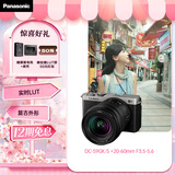 松下S9（20-60mm F3.5-5.6）（Panasonic）全画幅微单 实时Lut 滤镜直出 连接app极速分享 灰银