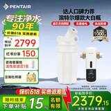 滨特尔（pentair）大白瓶前置过滤器 全屋家用自来水过滤器 前置净水器大蓝瓶 中央净水机大流量大胖瓶高精度 10寸大白瓶+前置L360