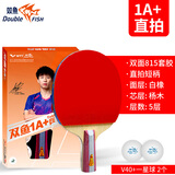 双鱼（DOUBLE FISH） 乒乓球拍初学者成品拍双面反胶皮套装快攻型学生业余训练乒乓拍 竖拍 1A+直拍（单）含2球