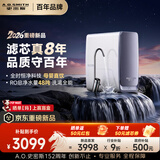 史密斯（A.O.SMITH）佳尼特【26年新品】蓝鲸1000G家用净水器厨房专用台下用净水机直饮一体机8年RO膜 CR2500AE3