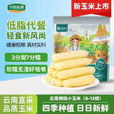 华田禾邦【新玉米】云南拇指玉米1斤(6-12根)儿童甜糯小玉米西双版纳 早餐