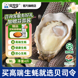 贝司令鲜活乳山生态生蚝XL 净重4斤 16-22只 生鲜源头直发露营聚会