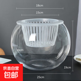 轻奢简约玻璃花瓶水培养鱼圆球龙蛋方缸客厅桌面摆件简约玻璃花瓶 25圆球+定植篮+吸水绳