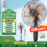 华生（Wahson）电风扇/落地扇/金属铝叶风扇/家用办公电扇/大风量低噪省电立式电风扇交流定频风扇 FS-D1401