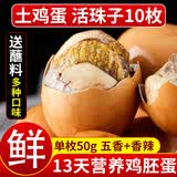岽鲜活珠子新鲜13天五香香辣味开袋即食毛蛋活珠子鸡胚蛋熟钢化蛋鸡蛋 五香活珠子 50g*10枚