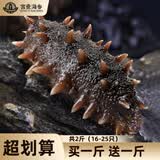 宫壹大连即食海参2斤16-25只 京东自营 家装 免泡发 底播辽刺参