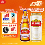 燕京啤酒U8小度酒 500ml*12瓶+U8 500ml*24听组合 春日热卖
