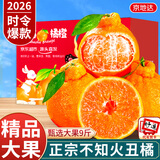 京地达正宗四川不知火丑橘桔子净重9斤单果80mm+新鲜丑橘子水果源头直发