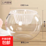 轻奢简约透明花瓶水培养鱼圆球龙蛋方缸客厅桌面摆件简约花瓶 12圆球+定植篮+吸水绳
