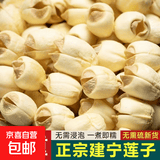 莲子建宁白莲子特级三明莲子纯手工制作去皮莲子滋补气血足白莲子 莲子 50g*1袋