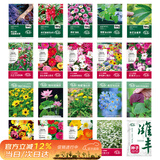 寿禾花种子大全四季可种格桑花太阳花向日葵薄荷草籽 20种花种子大全