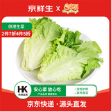 京鲜生&东升供港生菜300g  供港品质 新鲜采摘广东源头直发