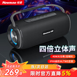 纽曼（Newmine）N20蓝牙音箱 音响户外广场舞家用桌面低音炮手提便携迷你小钢炮U盘电脑手机高音质无线小音响黑色