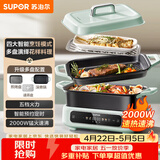 苏泊尔（SUPOR）电火锅 电煮锅电蒸锅 多功能烤鱼烤肉电热锅 火锅专用锅 分体家用电炖锅 多用途料理锅H3423FC862