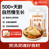 1号会员店（One's Member） 跑步鸡供港黄油老母鸡农家慢养土鸡走地鸡500天炖鸡汤净重1.2kg