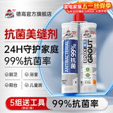 德高双组份彩瓷净味抗菌美缝剂瓷砖地砖通用勾缝剂防水防霉 月影灰 420g （净味99%抗菌）
