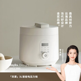 olayks立时 电压力锅 高压锅 家用高压电饭锅快煮预约压力锅小型 3L适用2-3人用 YBW3001B