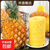 广东徐闻香水菠萝新鲜水果生鲜热带孕妇水果整箱包邮 1个装 单果1.3-1.5斤