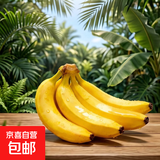 国产高山甜香蕉  新鲜水果 室温放苹果半密封催熟 4.5斤（普通蕉）净重