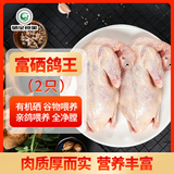 硒全食美无抗富硒鸽王净重700g(350g*2只)  冷冻鸽子生鲜煲汤烧烤鸽子