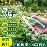 安赛瑞 修枝剪刀果树剪园艺剪 盆栽剪花卉工具园林绿植剪刀花艺 5J00324