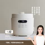 olayks立时 电压力锅 高压锅 圆满高压电饭锅家用快煮预约压力锅5L适用4-6人双内胆 OLK-501DC