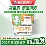 海河牛奶早餐奶天津海河网红风味奶日期新鲜可批发袋装奶 海河牛奶哈密瓜味220ml*10包