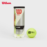 Wilson威尔胜TITANIUM 训练网球罐装 3颗装【球上数字随机】