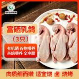 硒全食美无抗富硒乳鸽 净重900g(300g*3只) 冷冻烧烤食材生鲜鸽子鸽子肉