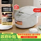 虎牌（TIGER）电饭煲微电脑电饭锅家用 4-5人份 5L JAX-C18C