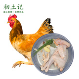 初土记原种小公鸡1只 林下散养公鸡180天 走地鸡新鲜小公鸡 原产地直发 小公鸡1只（净重1.6-2斤）