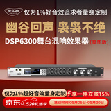 麦乐迪DSP6300卡拉ok混响器 数字音频前级效果器 家庭影院防啸叫调音台处理器含话筒 调音台均衡器 DSP6300专业K歌效果器豪华版 标准版