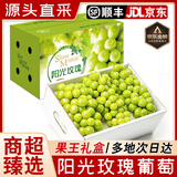 御京鲜阳光玫瑰葡萄 四川晴王香印无籽提子应季新鲜水果礼盒 5斤一级果 单果8-10g 净重4.5斤 现摘现发