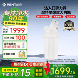 滨特尔（pentair）大白瓶前置过滤器 全屋家用自来水过滤器 前置净水器大蓝瓶 中央净水机大流量大胖瓶高精度 【10寸大白瓶】包安装